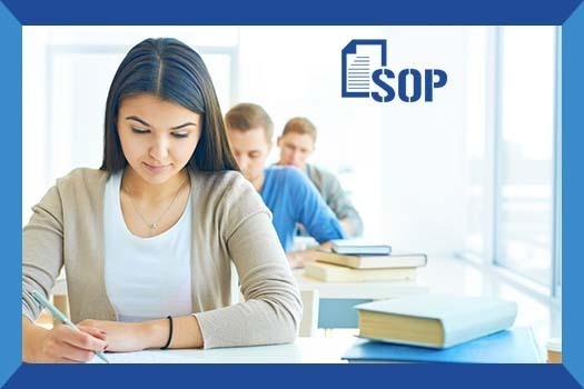 write a perfect SOP