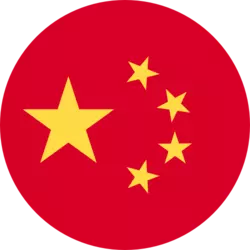 Professional Sop writers in China