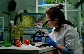 SOP Writers for Masters in Biotechnology Image