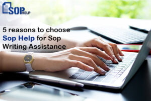 5 Reasons To Choose Sophelp Banner